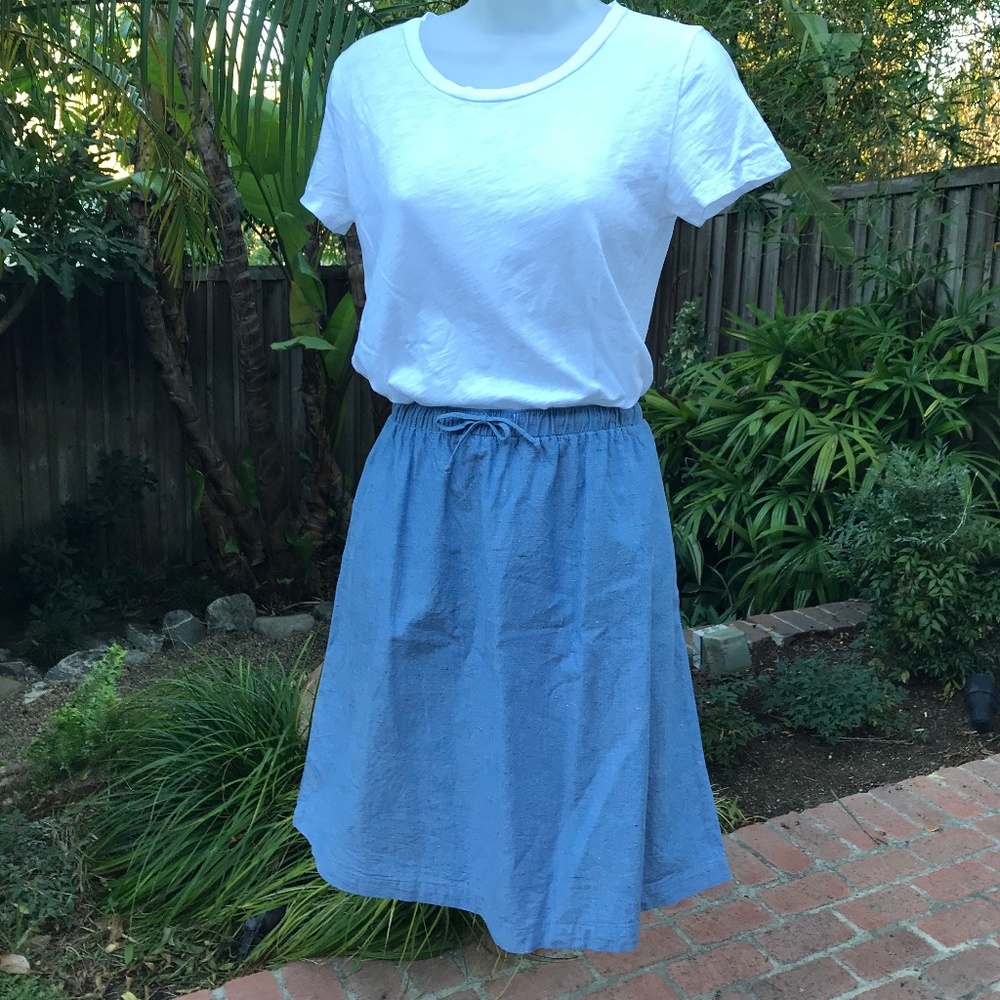 A-line Chambray Mollusk Surf Shop skirt